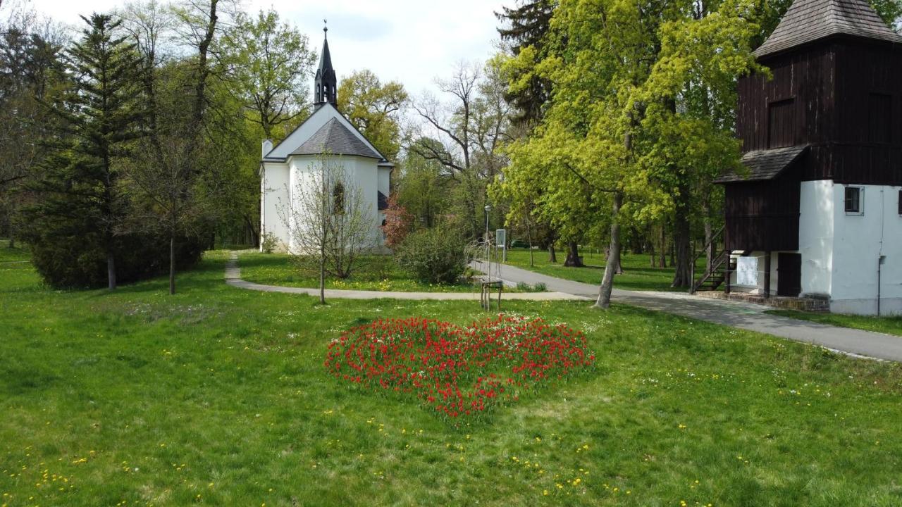 Homestay Poděbrady Exterior foto